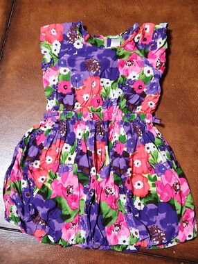 Girl's Dress Gymboree Pink, Purple & Green Floral Bubble Dress
